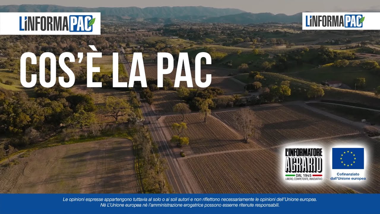 Cos'è la PAC
