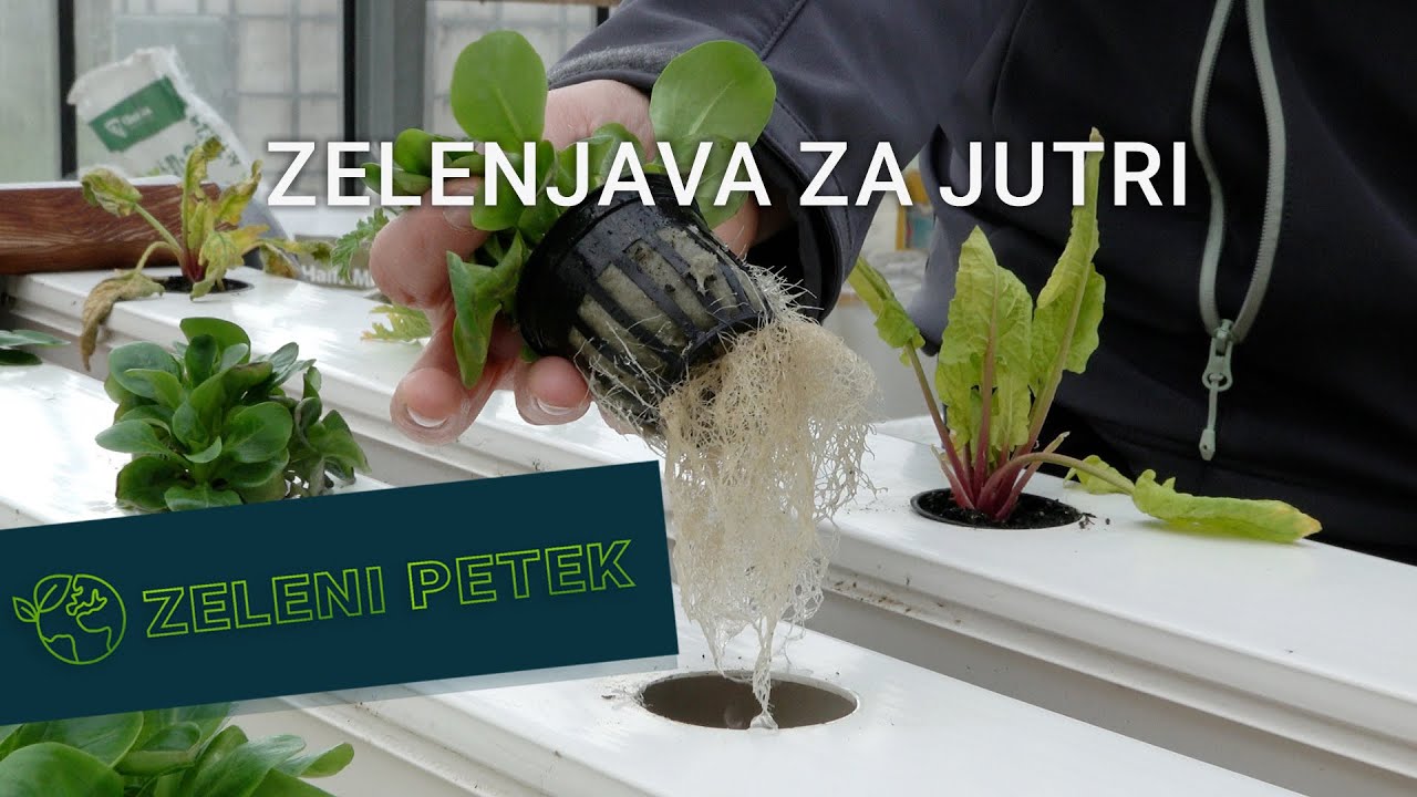 Zeleni petek | Zelenjava za jutri