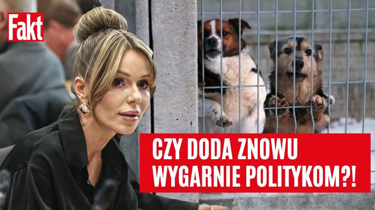 [NA ŻYWO] DODA ZNOWU W SEJMIE! Kontynuuje walkę o prawa zwierząt