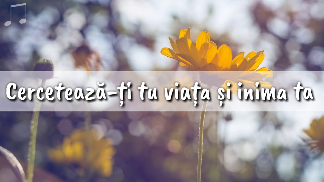 Coca Saroni - Domnul bate la inima ta