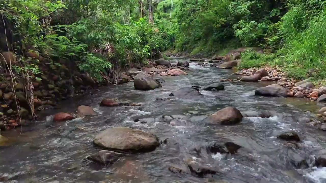 Calm Your Heart & Clear Thoughts | Jungle River with Gentle Ripples