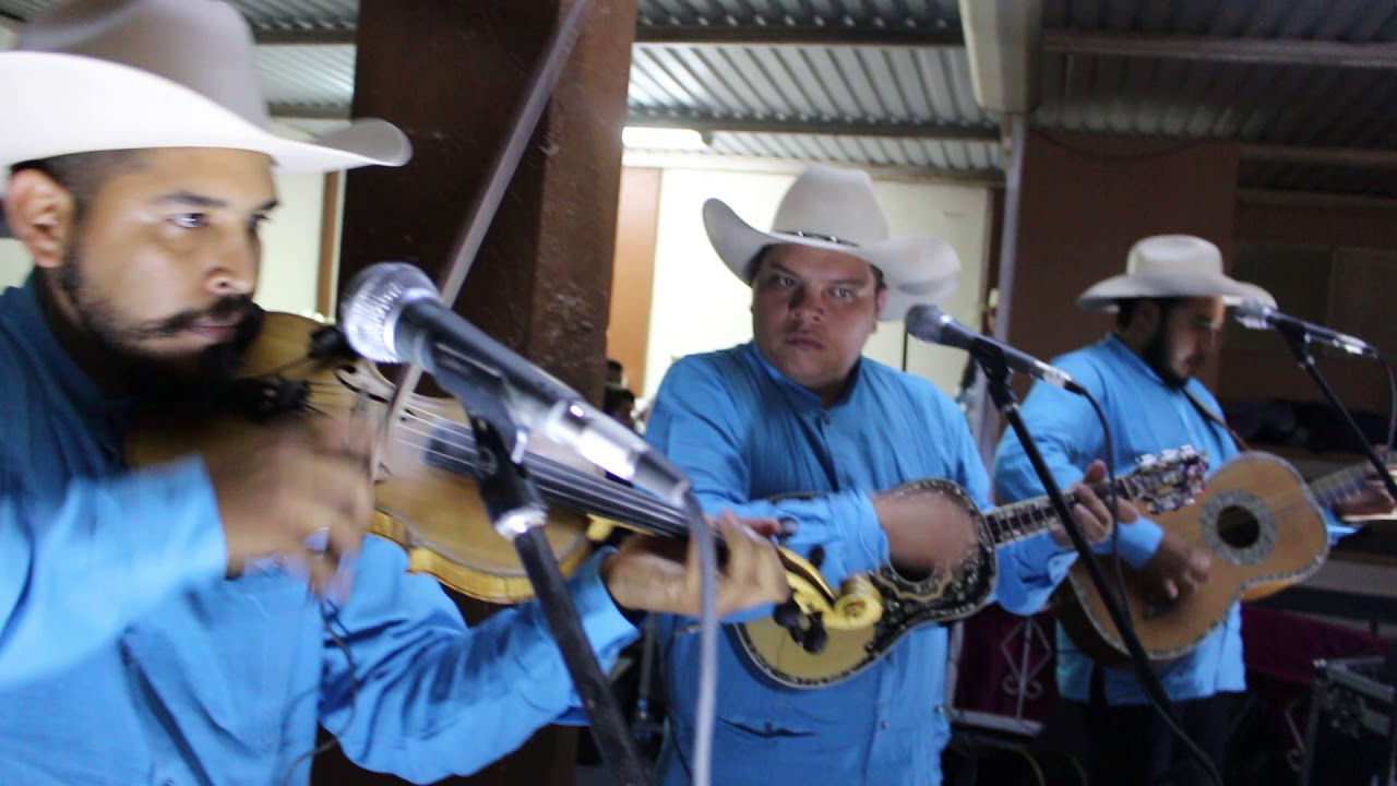 El Fandanguito - Trío 