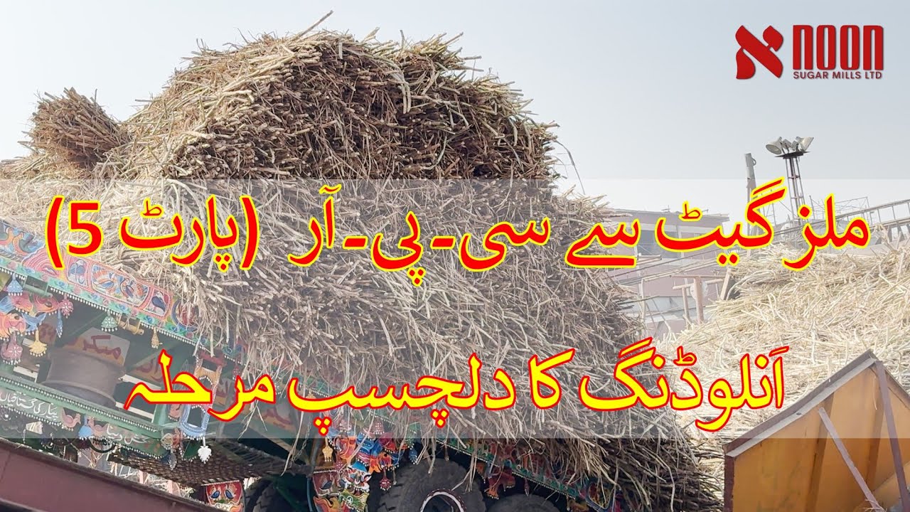 ملز آمد سے سی۔پی۔آر ( پارٹ 5 ) : انلوڈنگ یارڈ کا مکمل عمل | ملز میں گنا کیسے مل ہاؤس تک پہنچتا ہے؟