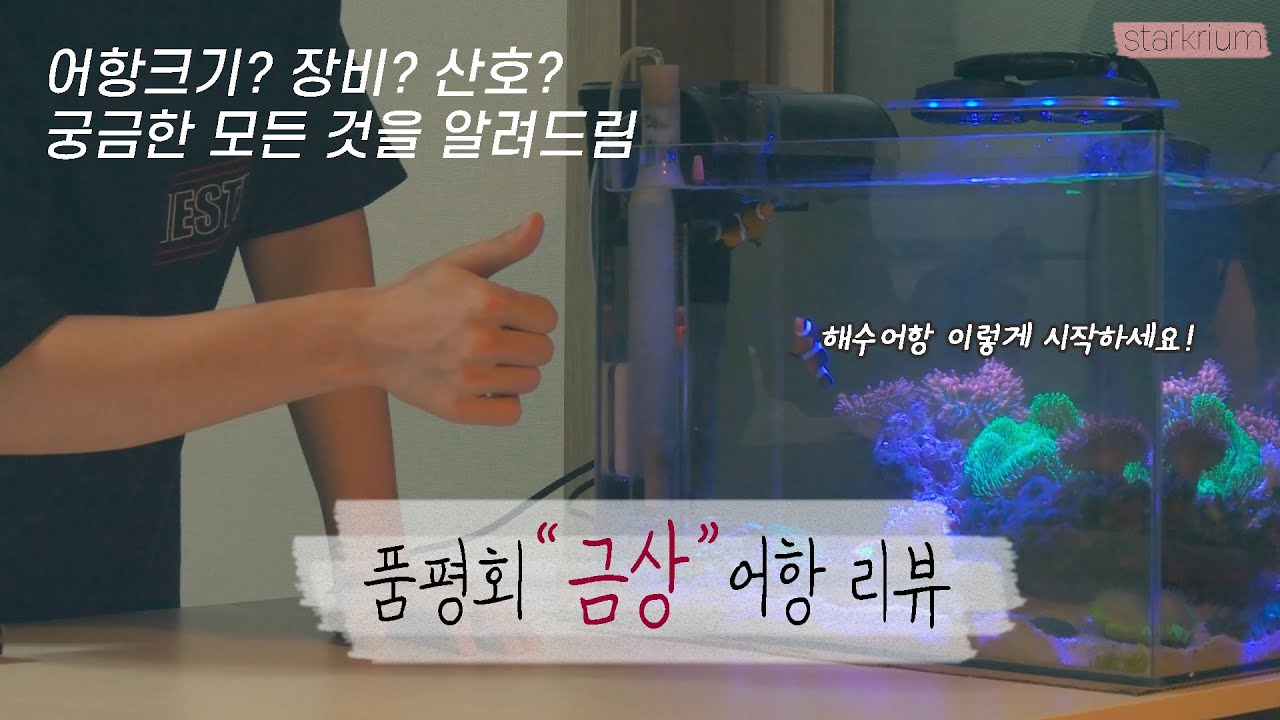 관상어품평회 '금상' 받은 어항 디테일 리뷰! / 수조부터 장비까지, 해수어항 시작하기