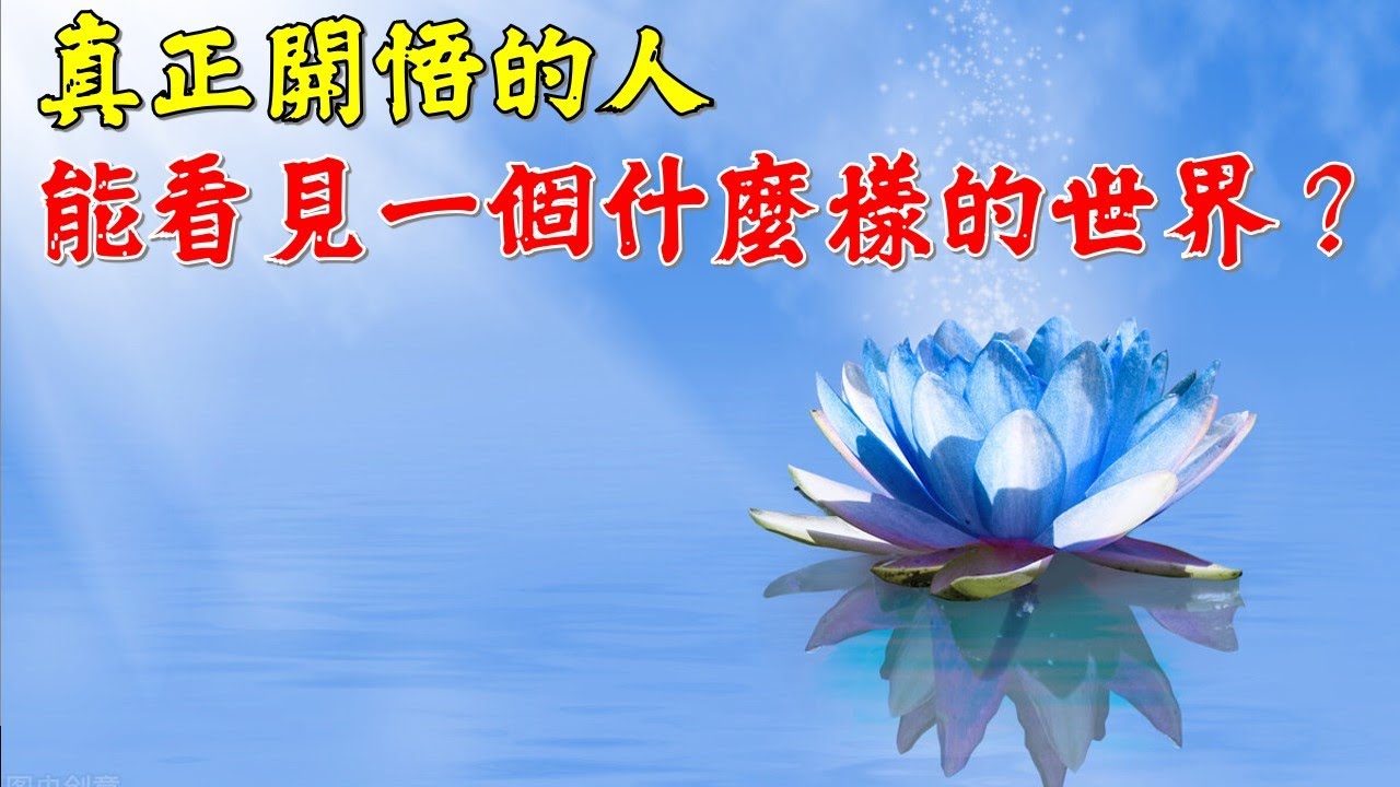 佛教修心 ☸️ 真正開悟的人，能看見一個什麼樣的世界？