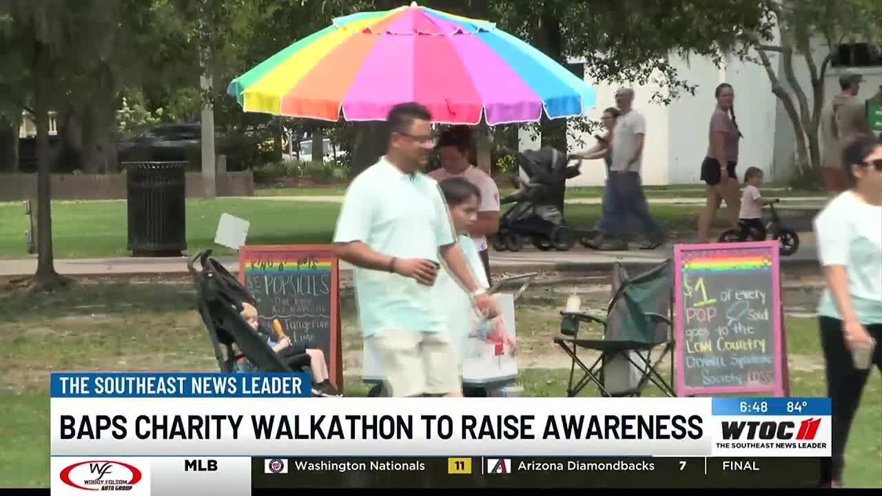 BAPS Walk raises funds and support for LDSS