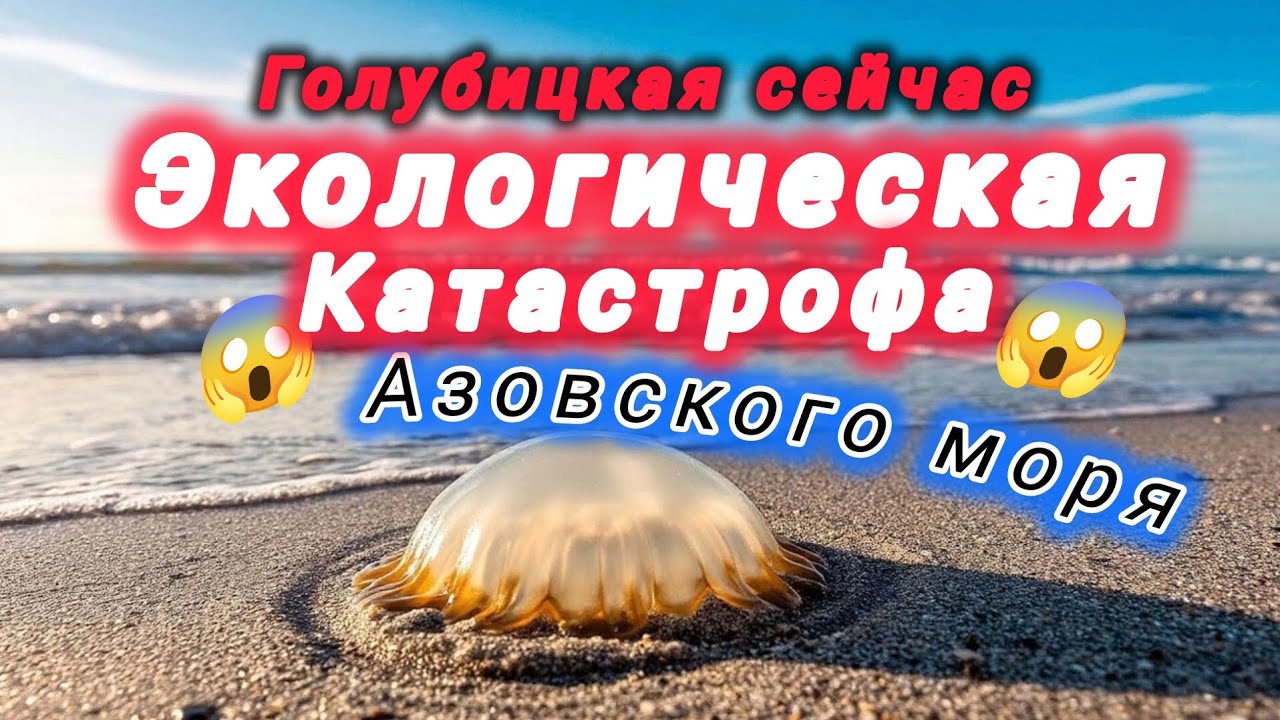 АЗОВСКОЕ МОРЕ-ГОЛУБИЦКАЯ.ЭКОЛОГИЧЕСКАЯ КАТАСТРОФА 21 ВЕКА 😱 #азовскоеморе #голубицкая