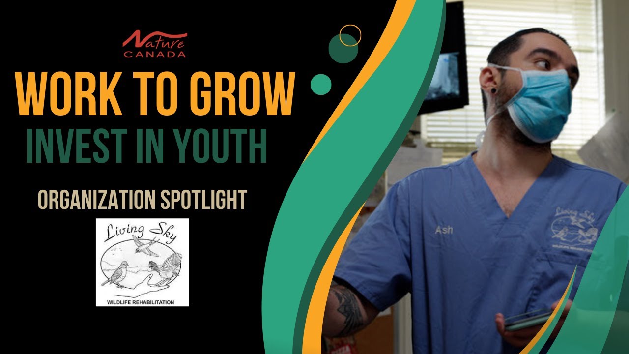 Work to Grow Spotlight - Living Sky Wildlife Rehabilitation