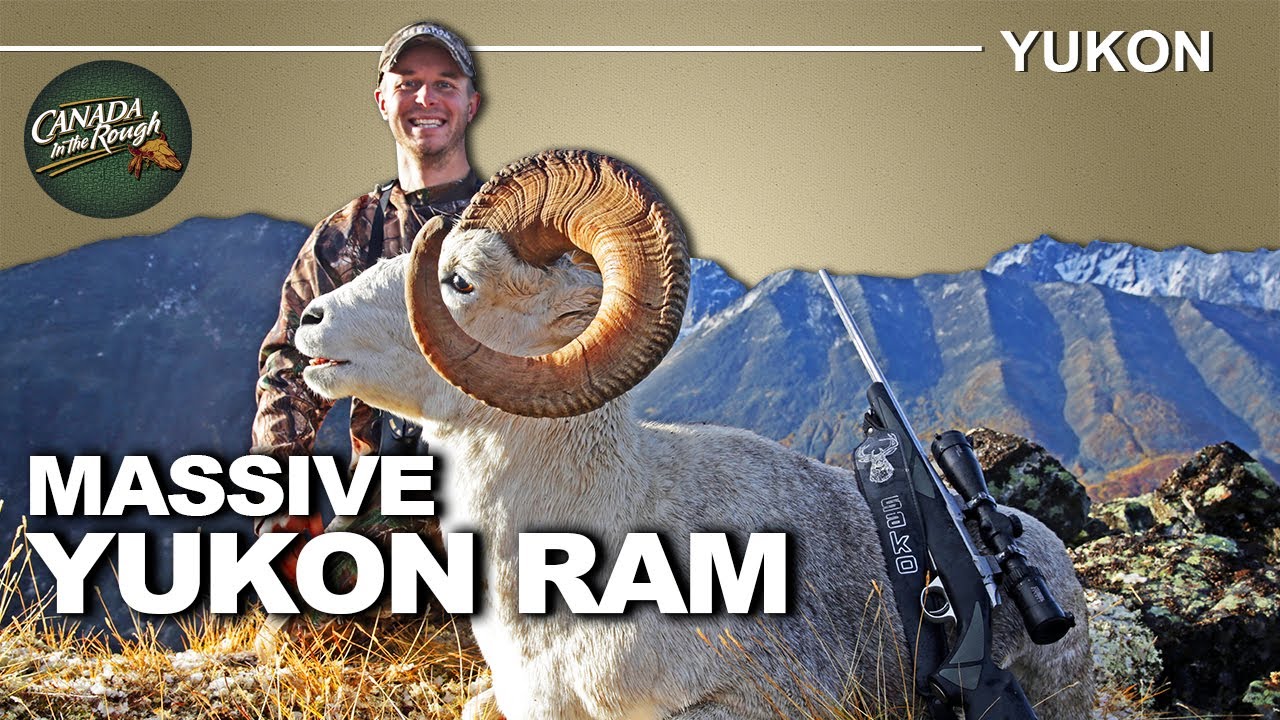 Yukon Ram in Massive Hail Storm | Canada in the Rough