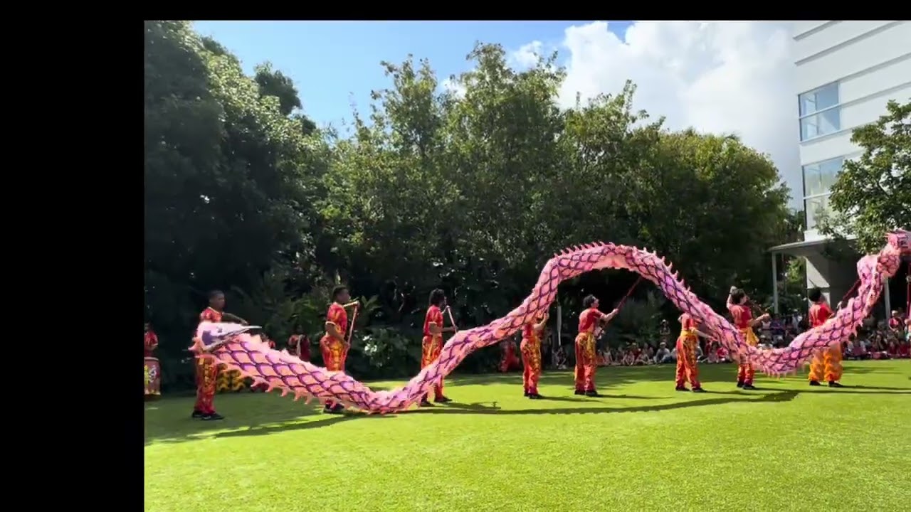 Lion Dance n Dragon Dance @thenortonmuseumofart Chinese Lunar New Year Celebration of the Horse 
