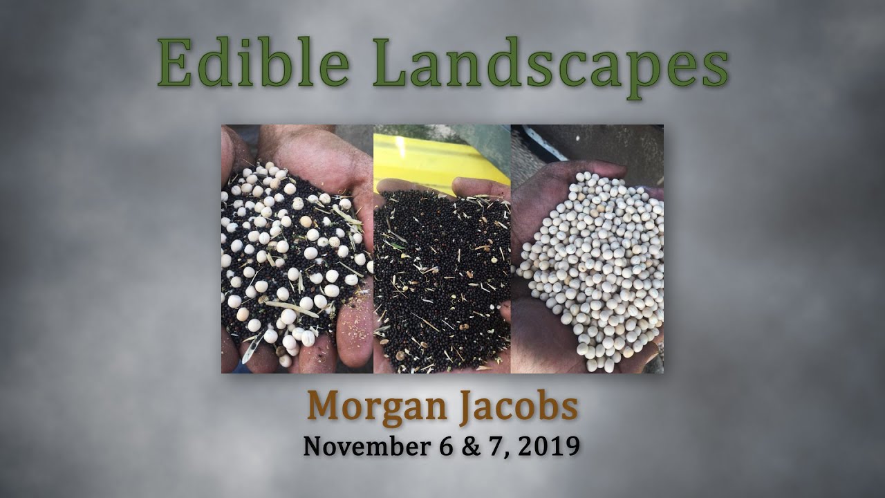 Morgan Jacobs BSC Nov 2019