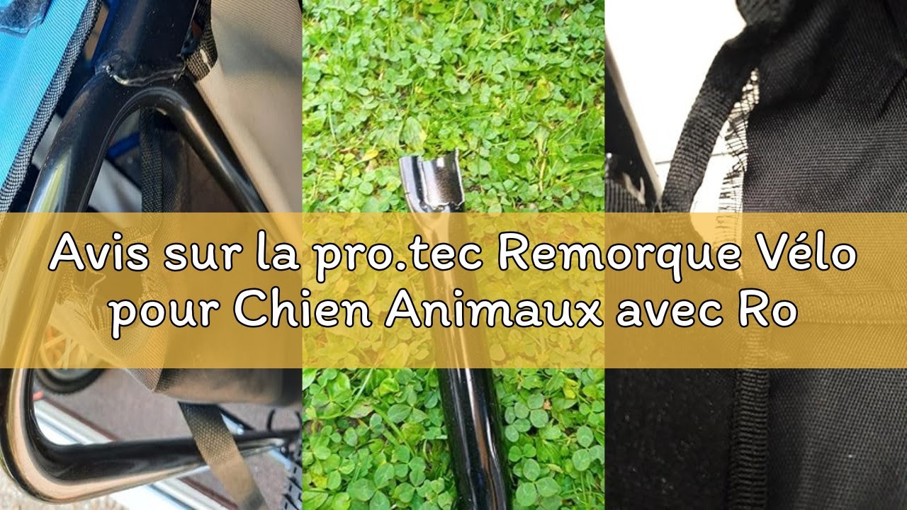 Avis sur la pro.tec Remorque Vélo pour Chien Animaux avec Roue Frontale Réflecteurs et Drapeau Rouge