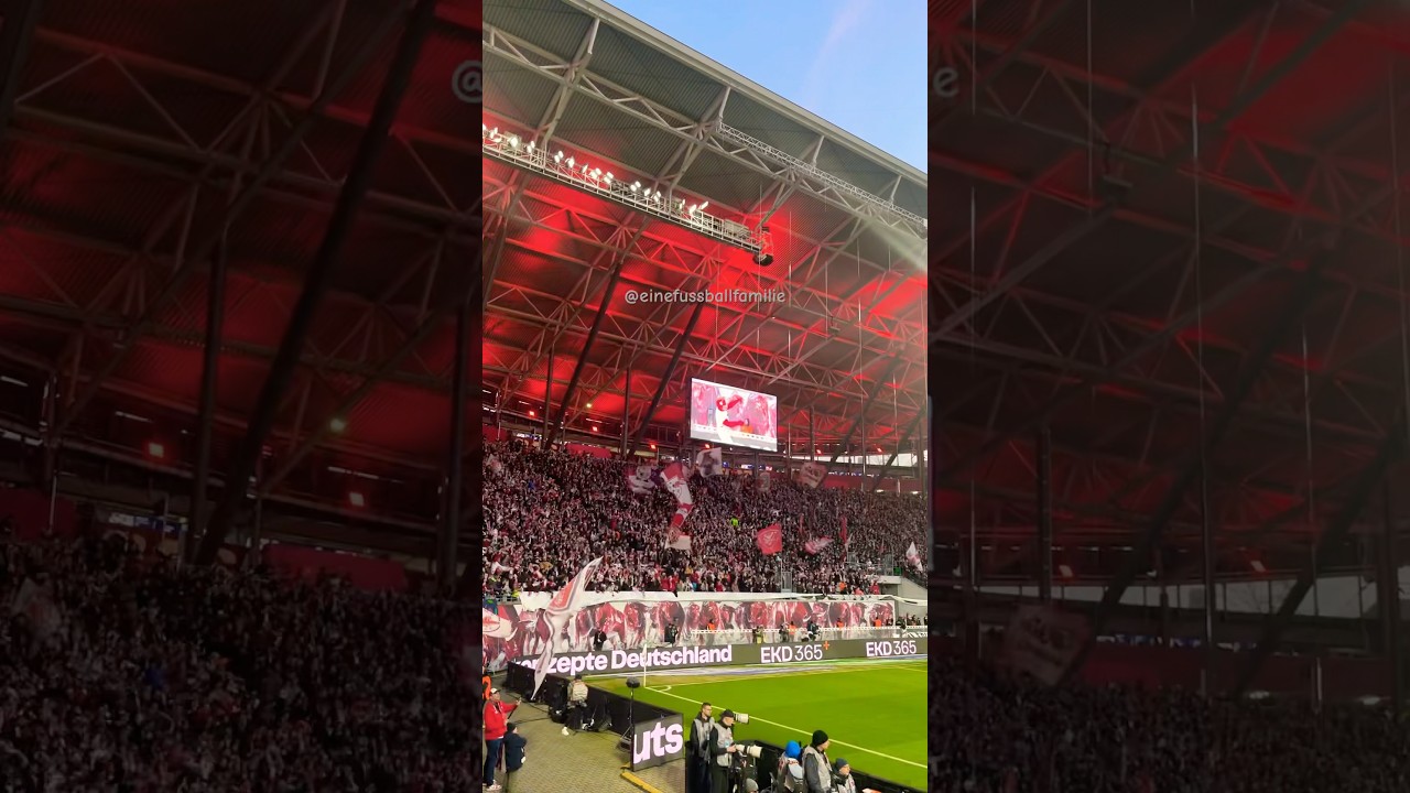 #RBLBVB Fanhymne ⚽️ 15.3.2025 #rbleipzig #dierotenbullen #bundesliga #fans #rblbvb