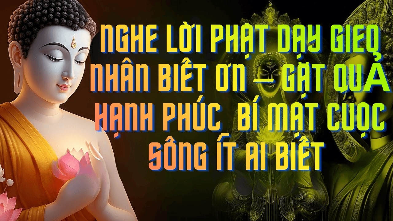Phật Dạy Gieo Nhân Biết Ơn – Gặt Quả Hạnh Phúc_ Bí Mật Cuộc Sống Ít Ai Biết#phat phap an nhien