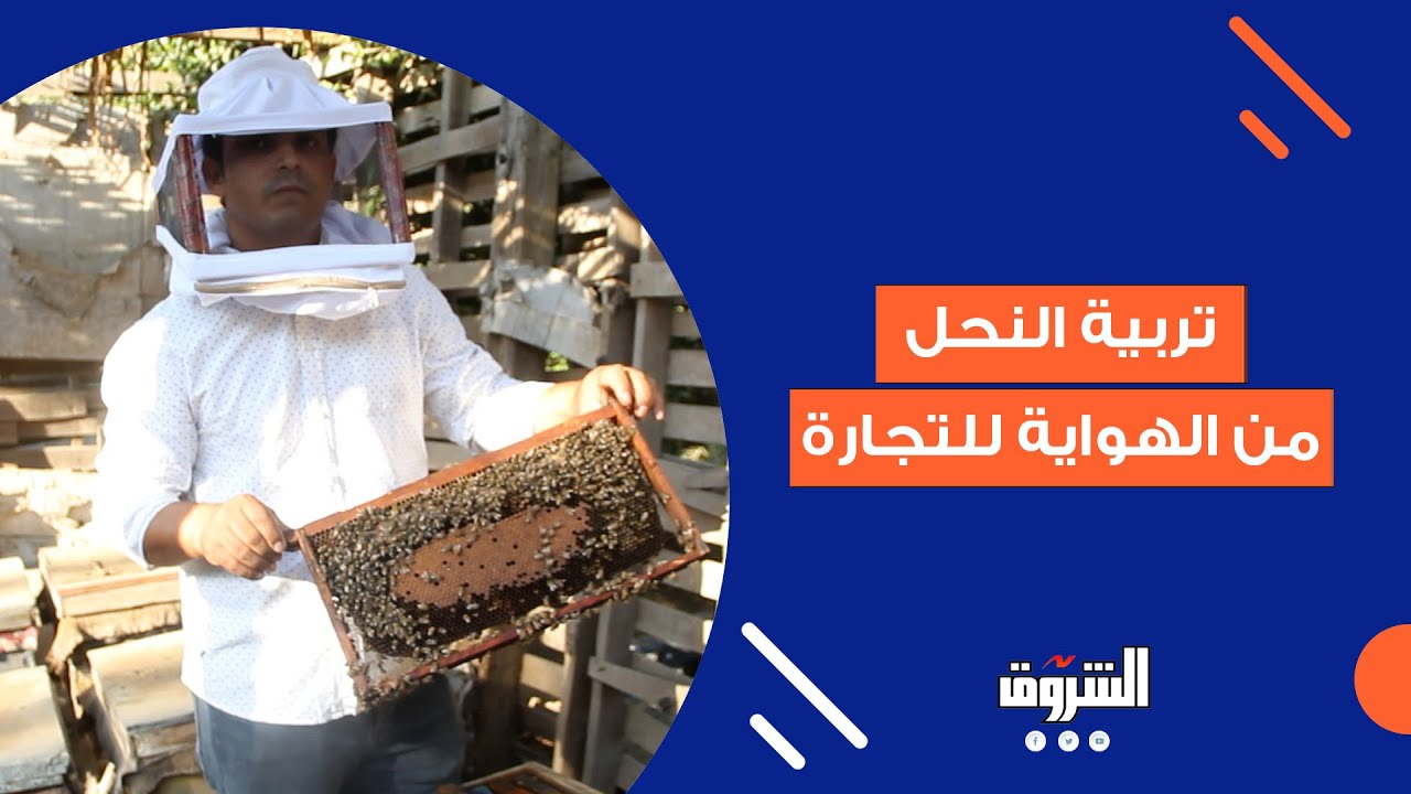 جولة داخل قلعة العسل بقرية شنوفة بمحافظة المنوفية