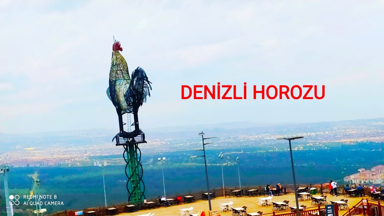 DENİZLİ HOROZU ÖZELLİKLERİ-DENİZLİ HOROZU CİNSLERİ-DENİZLİ HOROZU FİYATLARI-DENİZİ HOROZU ÖTÜŞÜ