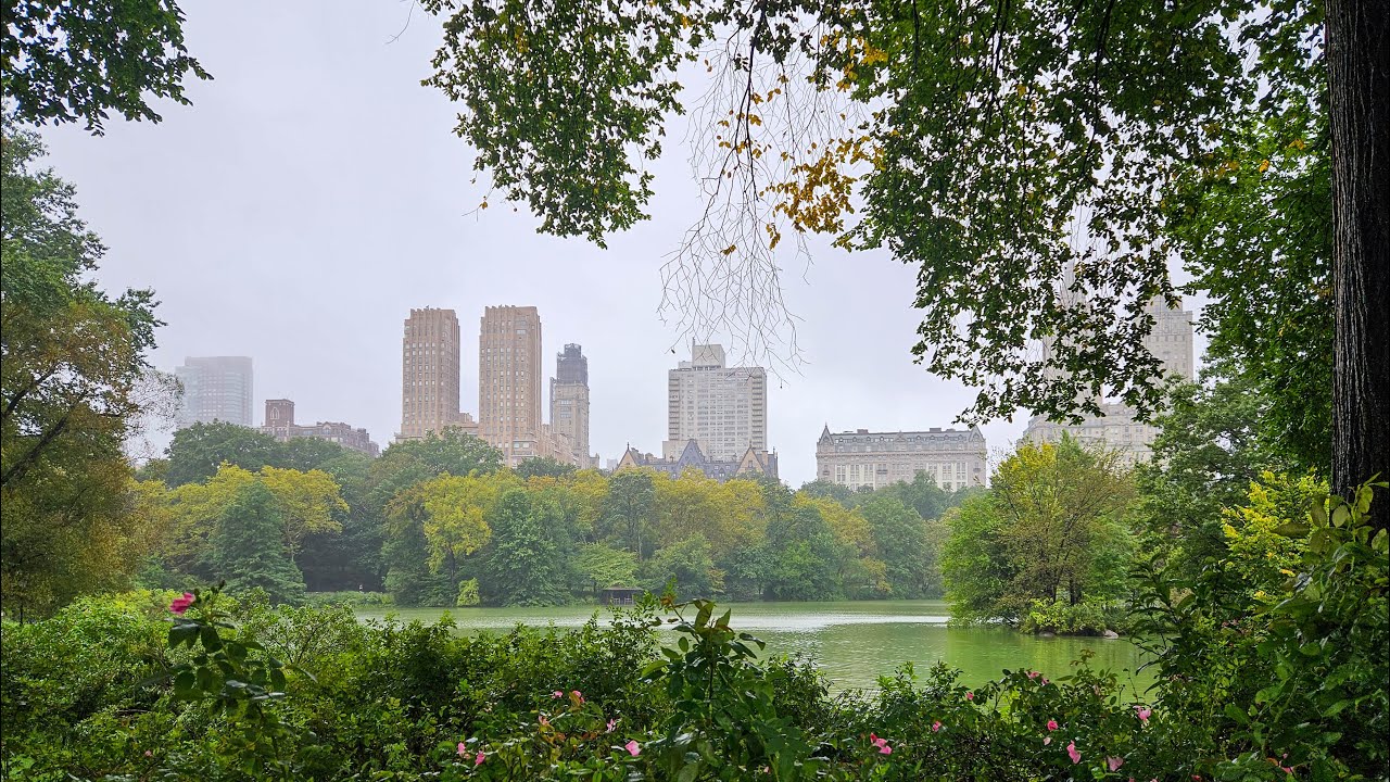 Walking in the Rain, Central Park New York, Nature Sounds for Sleep