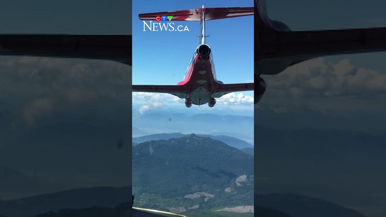 Любимая многими пилотажная группа Snowbirds приостановила полеты до 2030-х годов.