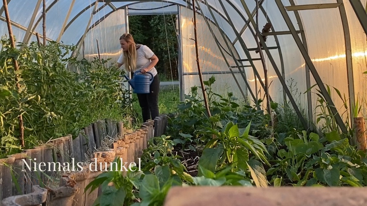 Wenn die Nacht nicht mehr kommt (S1 E28)