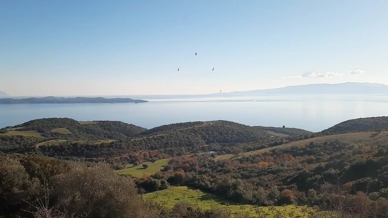 БЕРИТЕ КОФЕ И ПОЕХАЛИ В ХАЛКИДИКИ ГРЕЦИЯ Ierissos#путешествияпогреции#море#греческаякухня