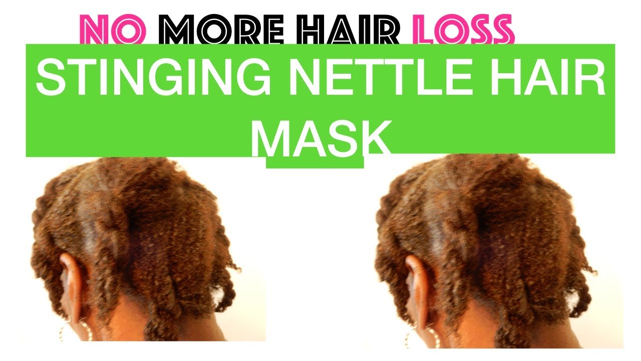 No More Hair Loss... Stinging Nettle Hair Mask