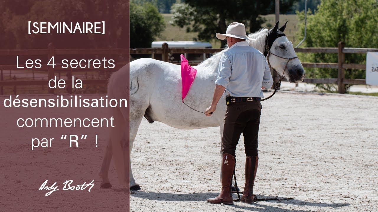 [SEMINAIRE] Les 4 secrets de la désensibilisation commencent par 