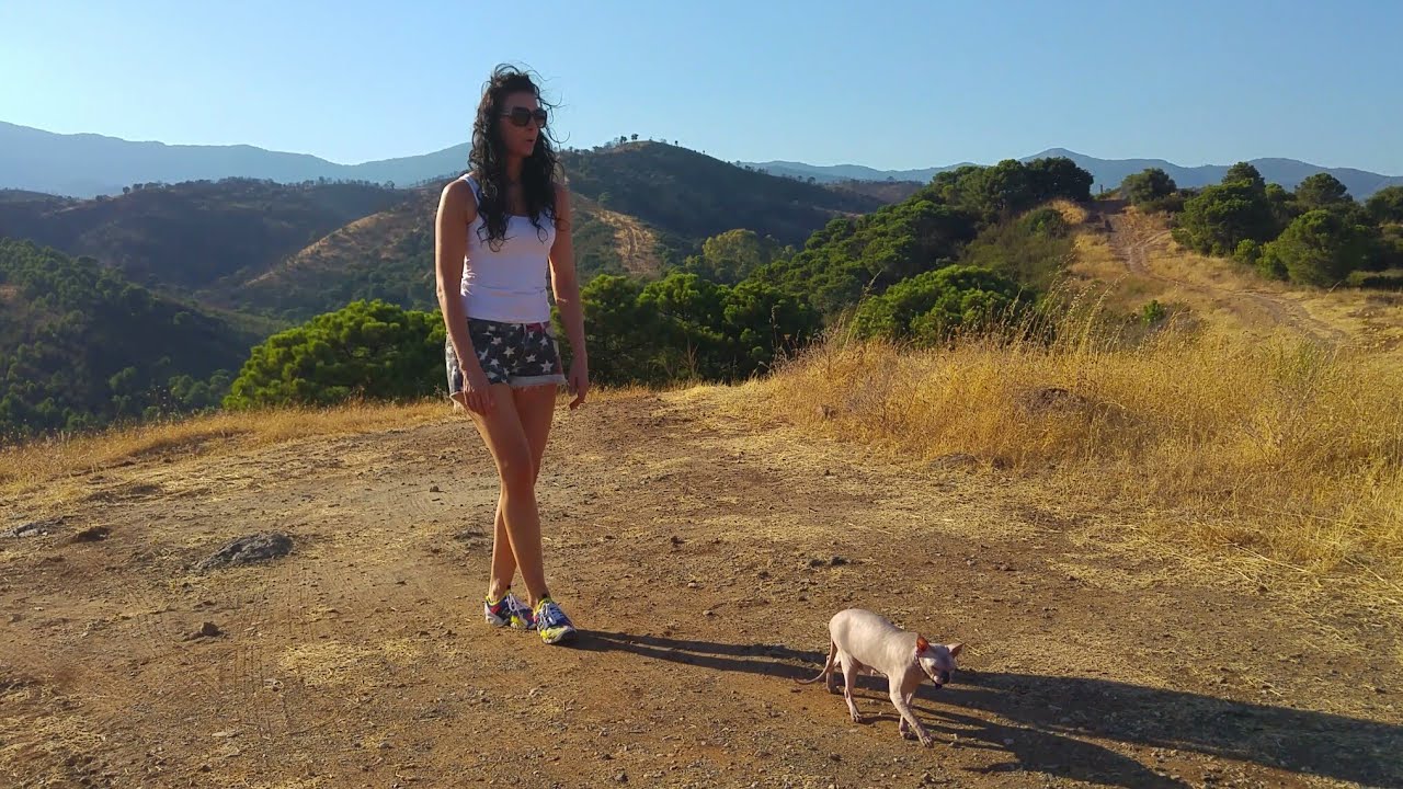 Walking with a Sphynx Cat 🏞