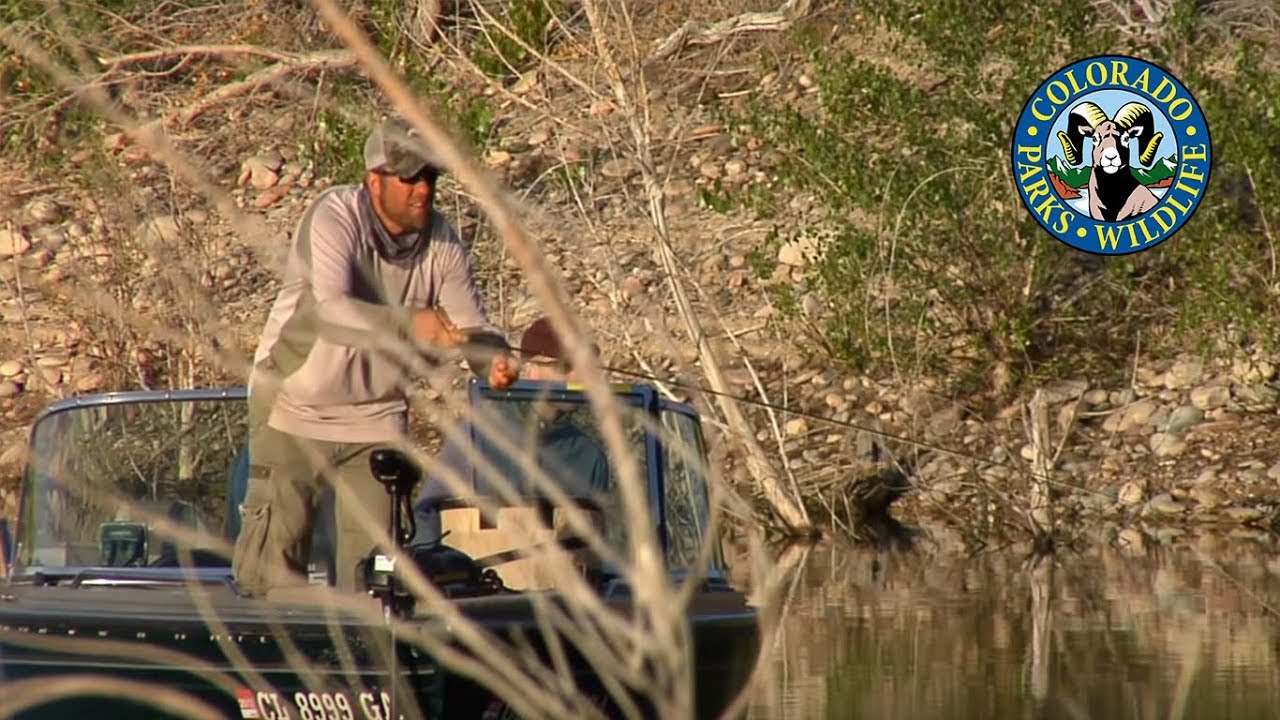 Fly Fishing Colorado - May - Wipers