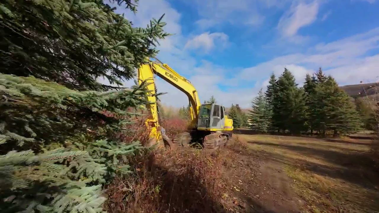 Autumn in Chetwynd