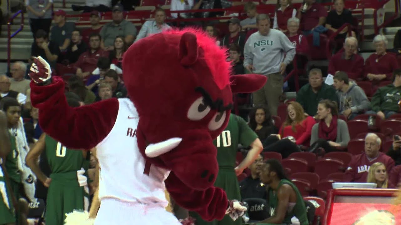 Arkansas Razorback Mascot 
