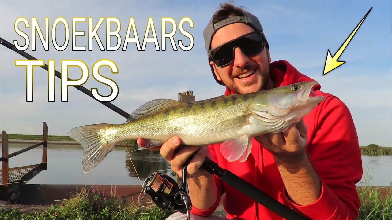 #156 - SNOEKBAARS vissen met SHADS vanaf de kant. Robert Grootenboer