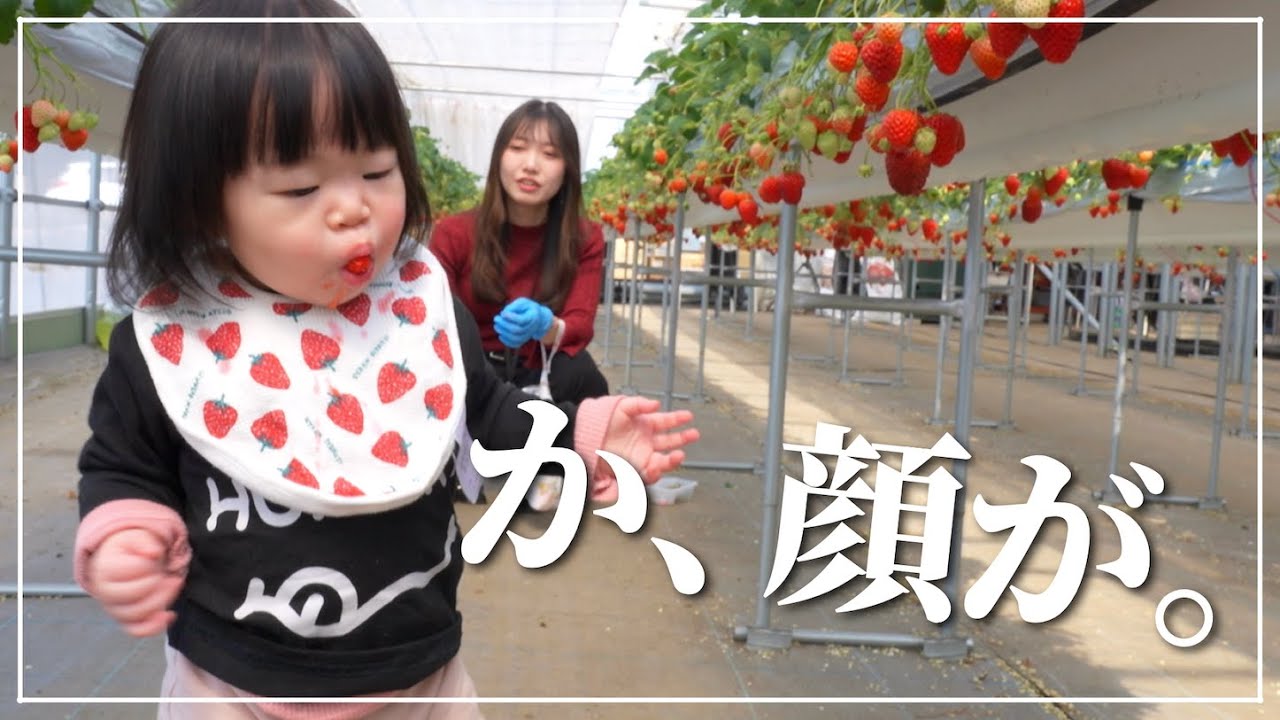 妻と娘といちご狩りデートに行きました