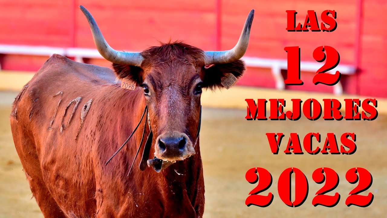 ⭕️🤘🏻 LAS 12 MEJORES VACAS DE 2022
