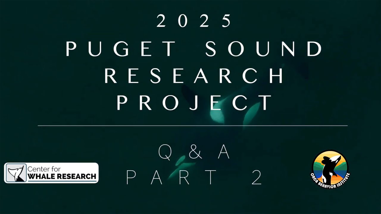 2025 Puget Sound Research Project Q&A  (Part 2) | Southern Resident Orcas