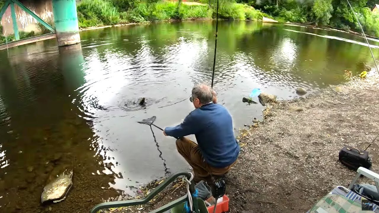 Meat Fishing Madness on a Big Creek