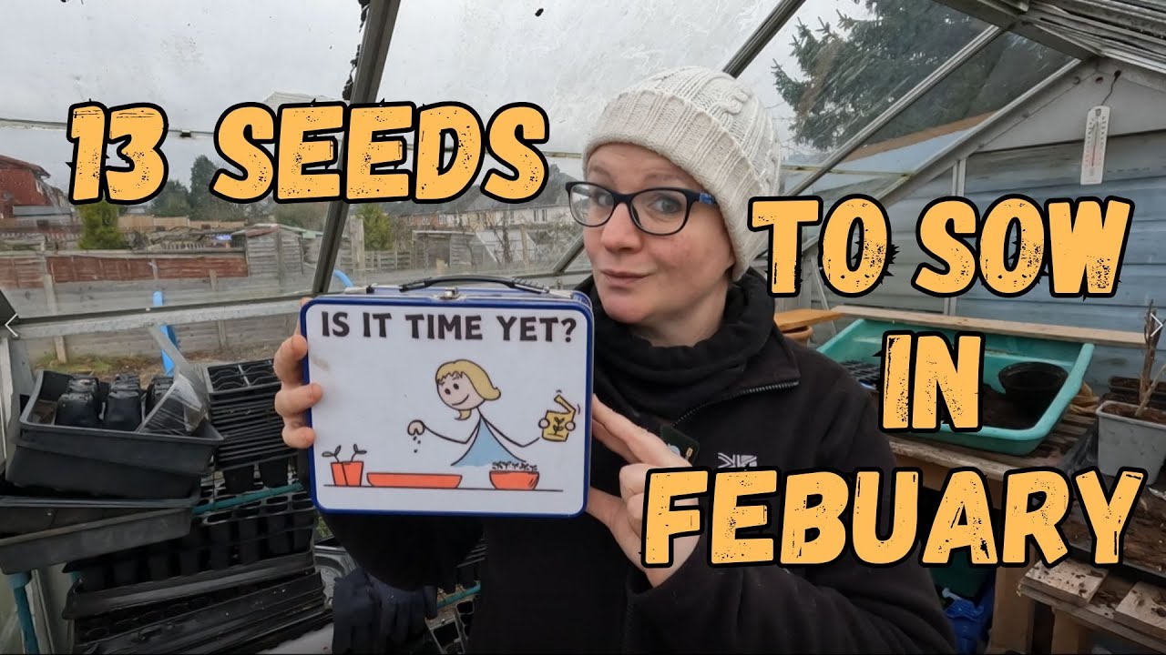 13 Seeds To Sow In Mid February For A Great Harvest