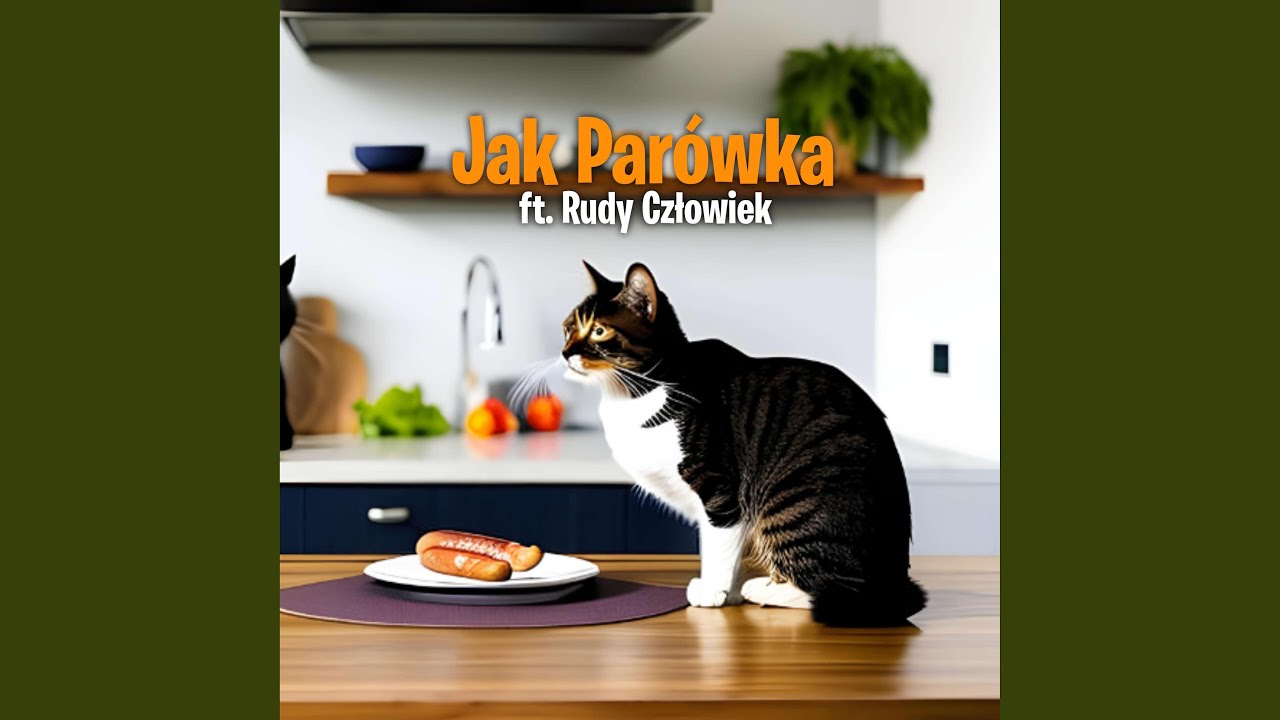 Jak Par&oacute;wka (feat. Rudy Człowiek)