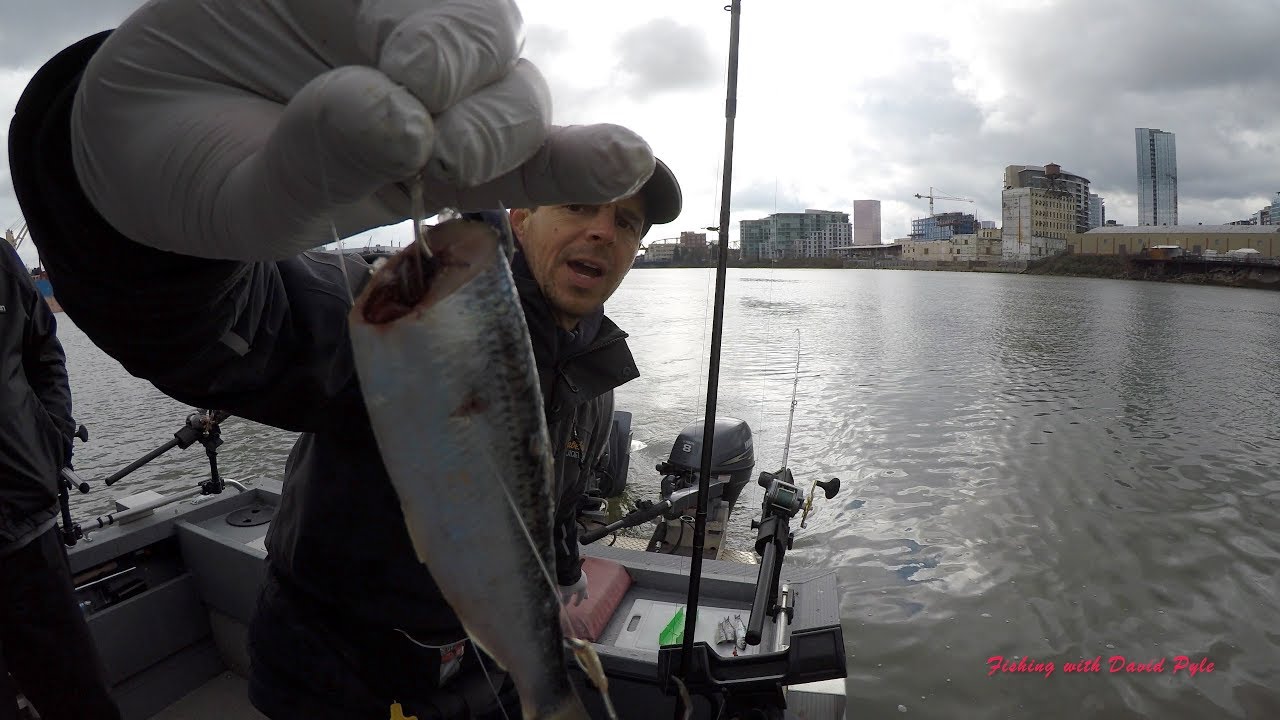 Fishing with David Pyle - Willamette River Tech Tips March 17, 2018.