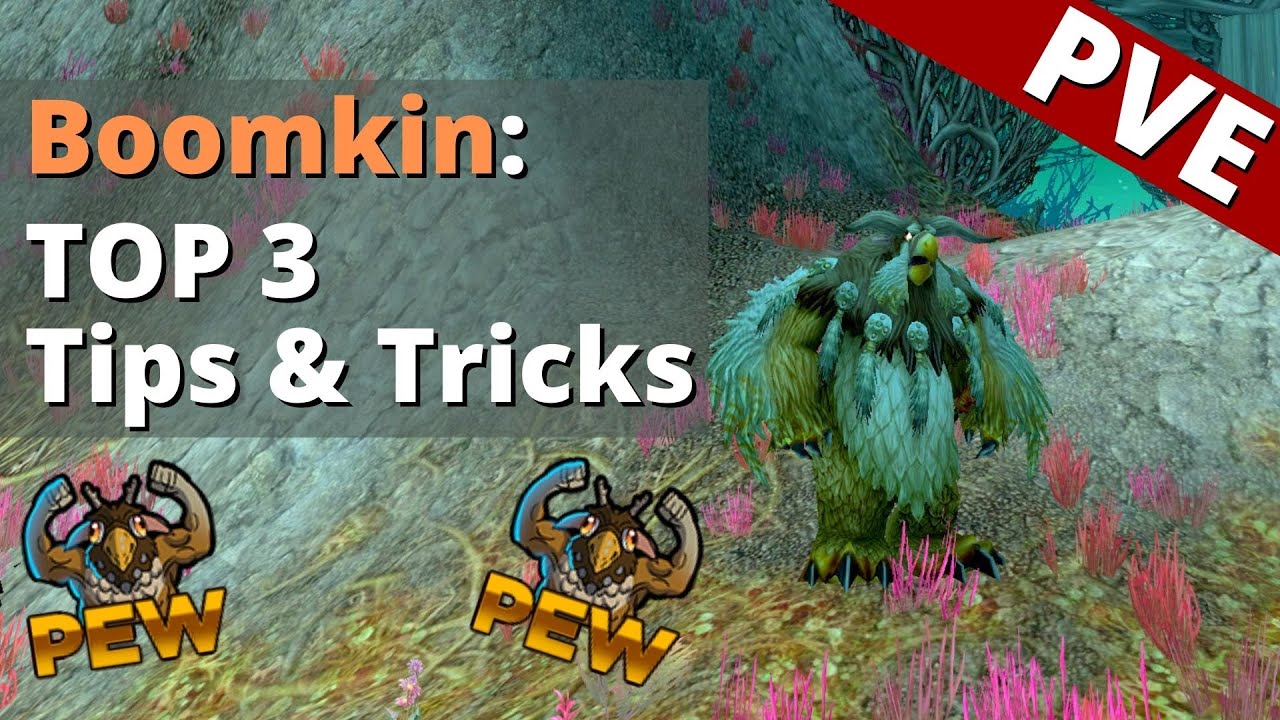 Top 3 Boomkin Tips & Tricks for PVE