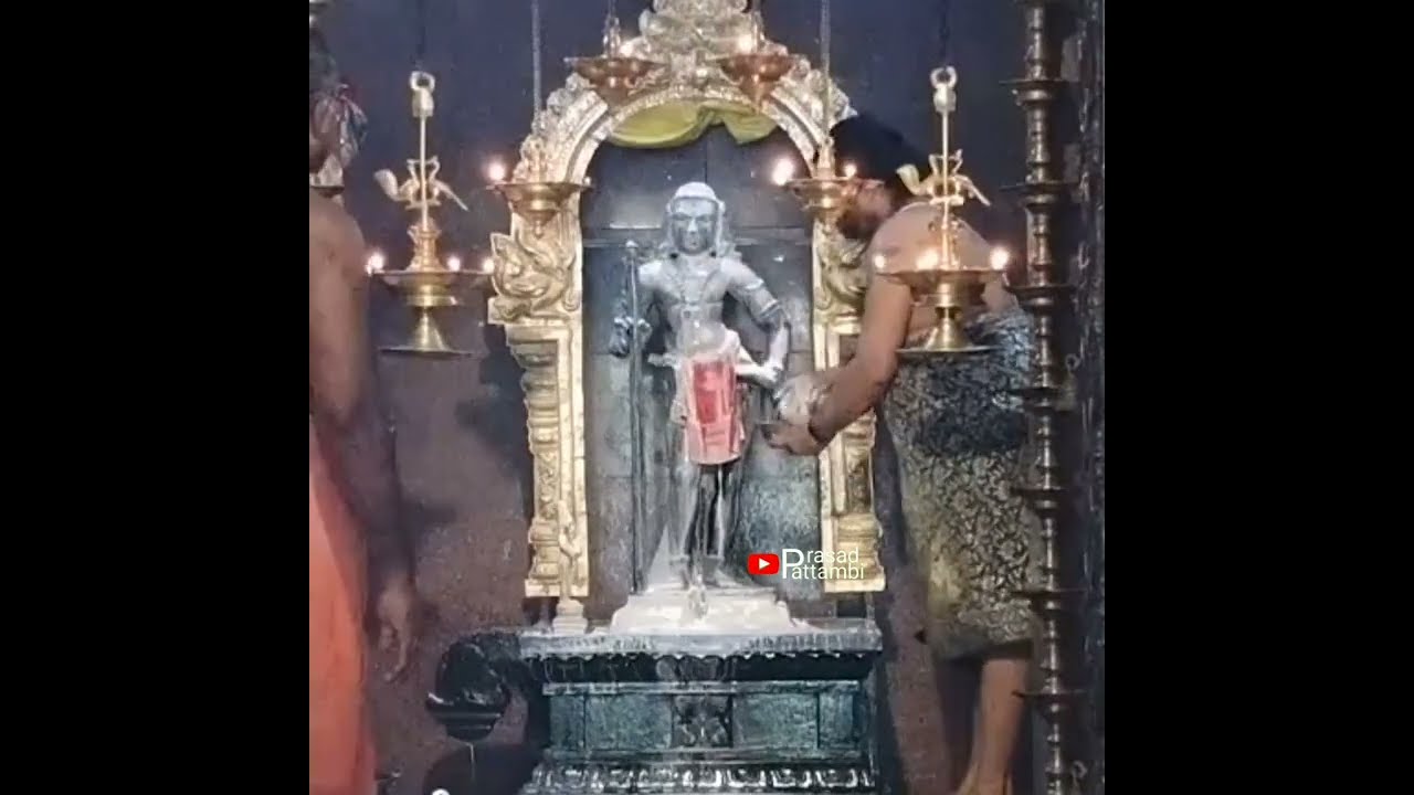 പഴനി മുരുകന് ഇത്രയധികം അഭിഷേകമോ| Palani murukan Abhishekam | Panchamritham Abhishekam | navapashanam
