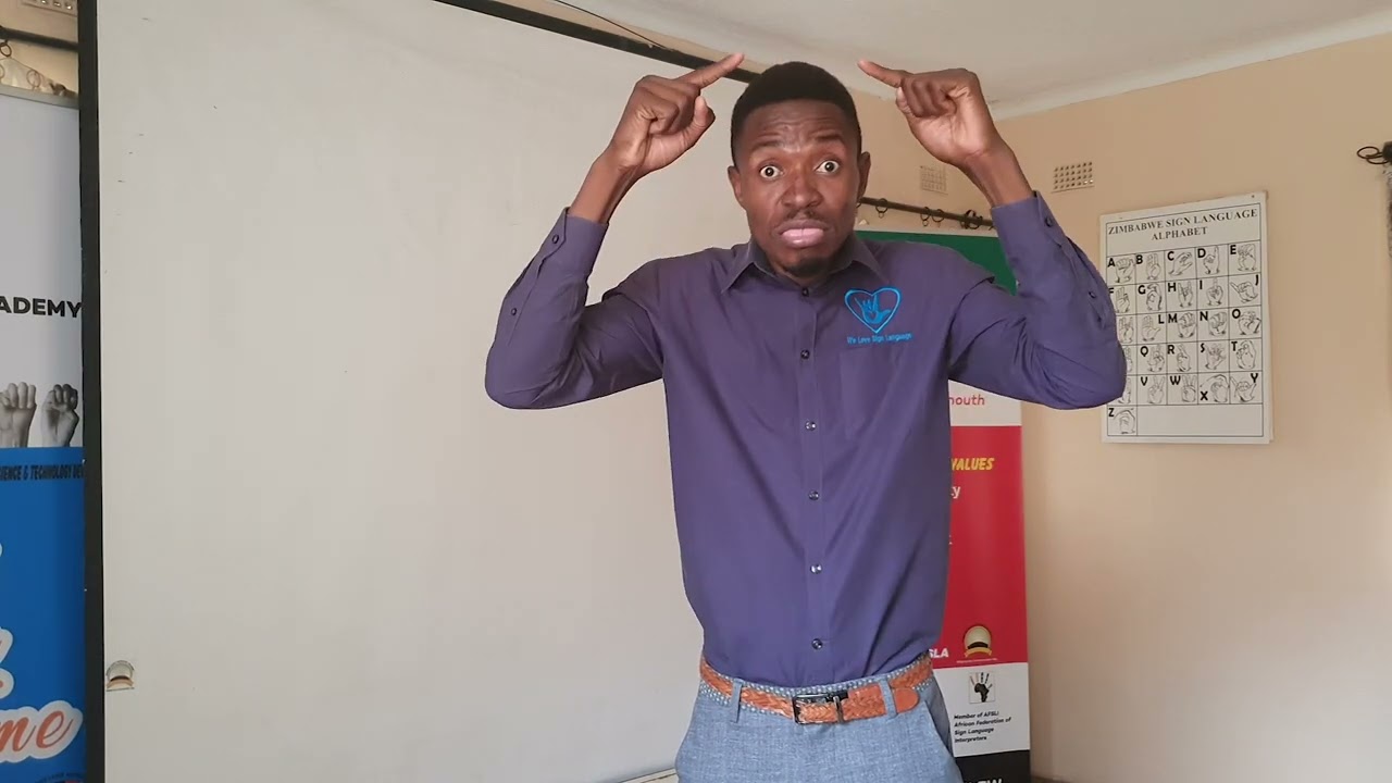 Sign Language for Beginners: Greetings