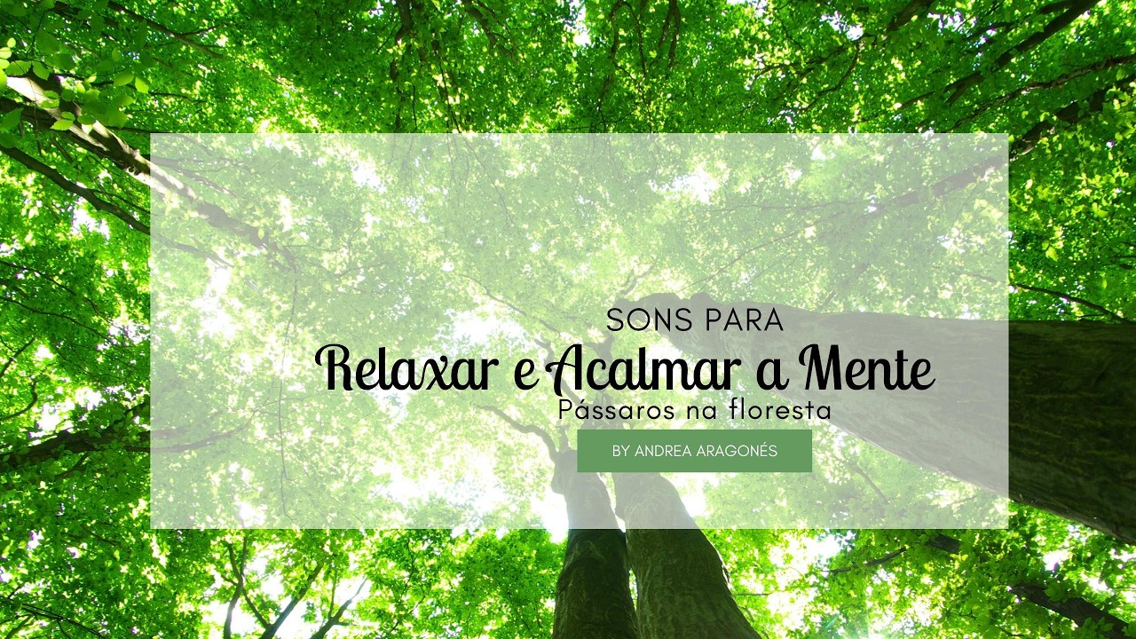 Respire com a Natureza: Sons de Pássaros para Respiração Consciente
