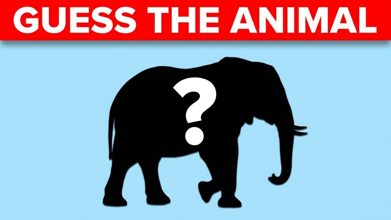 Guess the Animal by Its Shadow 🐾 | Animal Quiz Challenge