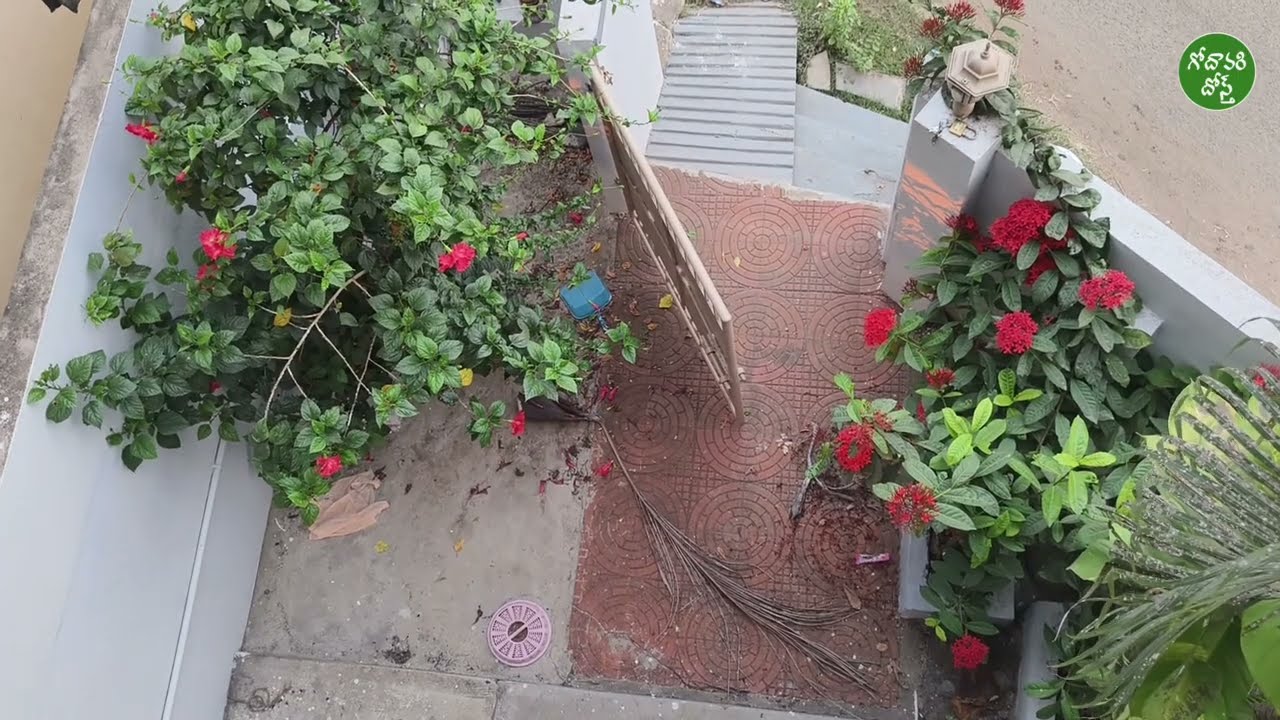 Contact - 8283988143 