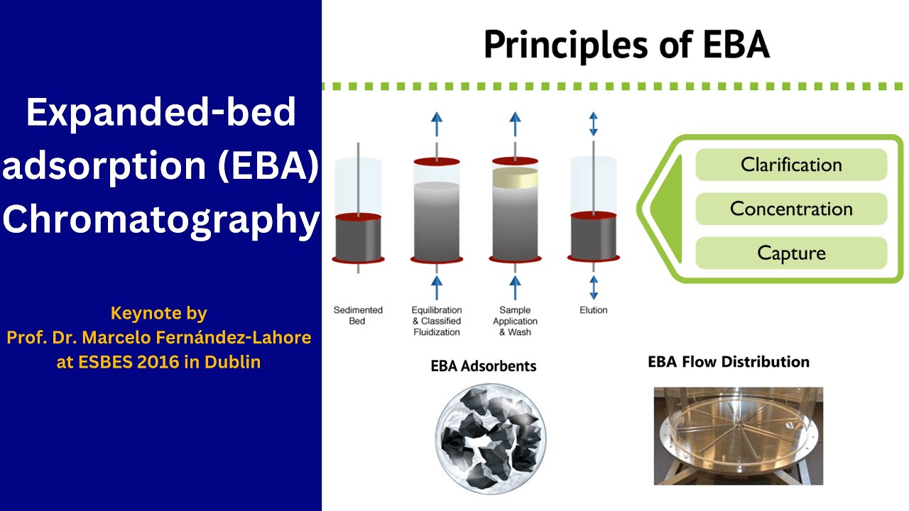 Expanded Bed Adsorption (EBA) chromatography  Keynote by Prof. Marcelo Fernandes-Lahore | ESBES 2016