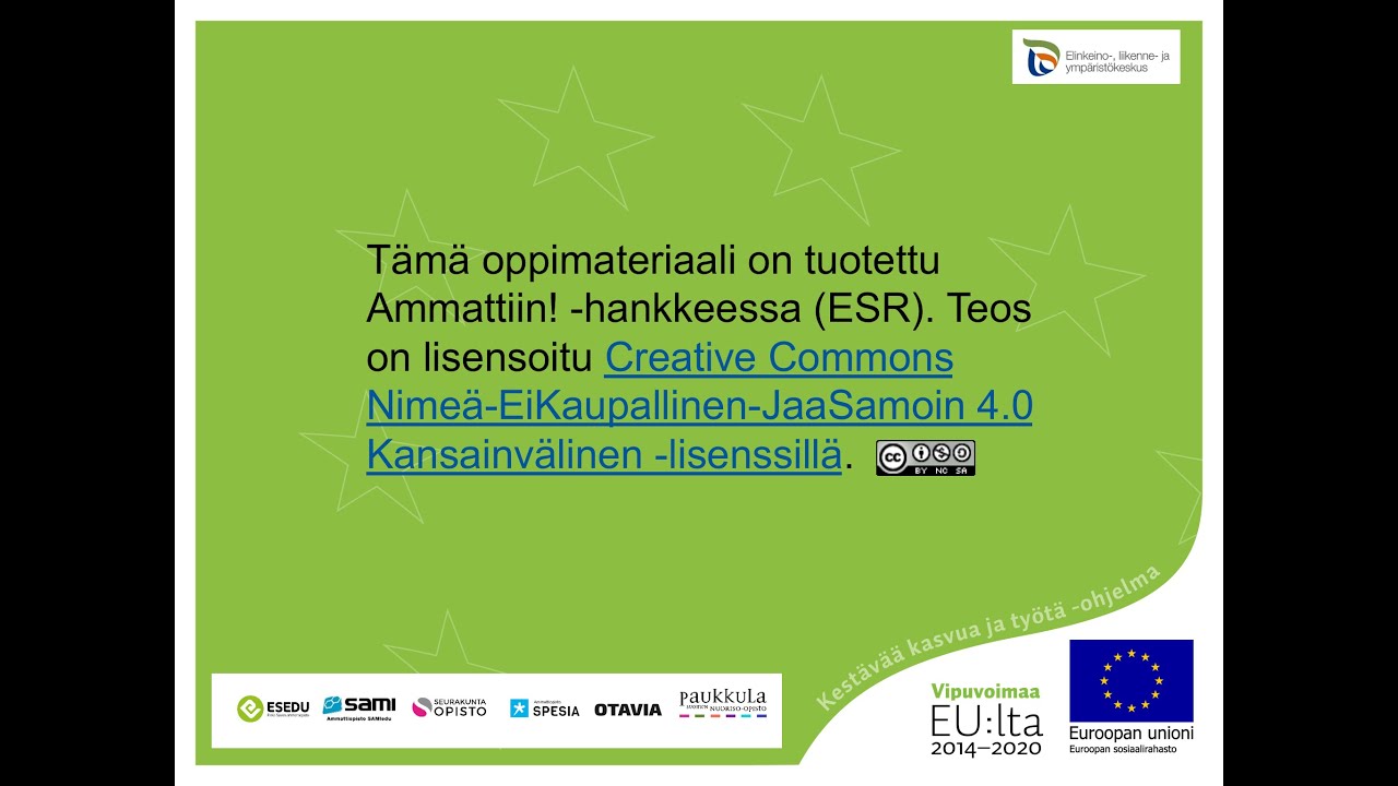 Ammattiin! Työelämässä toimiminen kasvatus- ja ohjausalalla