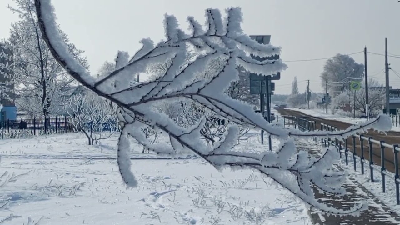 Опека окончена. Но приключения продолжаются. Суд. Первая часть.