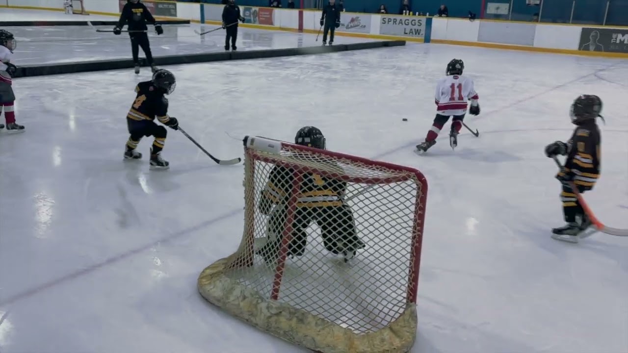 Who's that goalie