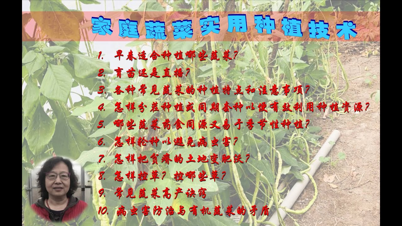 【安娜種植園】037（中）中国校友会云公益讲座：安娜讲家庭蔬菜实用种植技术. 十大专题（中）