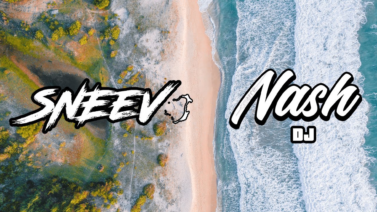 DJ NASH ft DJ SNEEV x SELENA GOMEZ - FEEL ME (ZOUK REMIX 2k20)